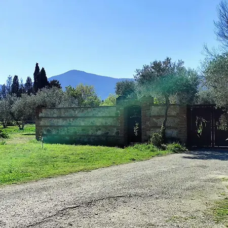 Petit Coin De Paradis